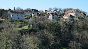 Lutte contre les nuisibles Chelles